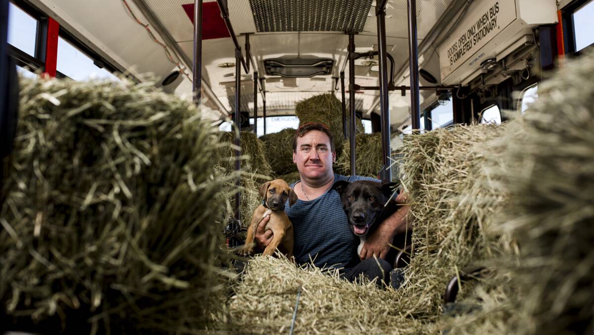 HELP: Peter Duffy is using his pink party bus to transport hay and feed to farmers in need. Photo: Jamila Toderas