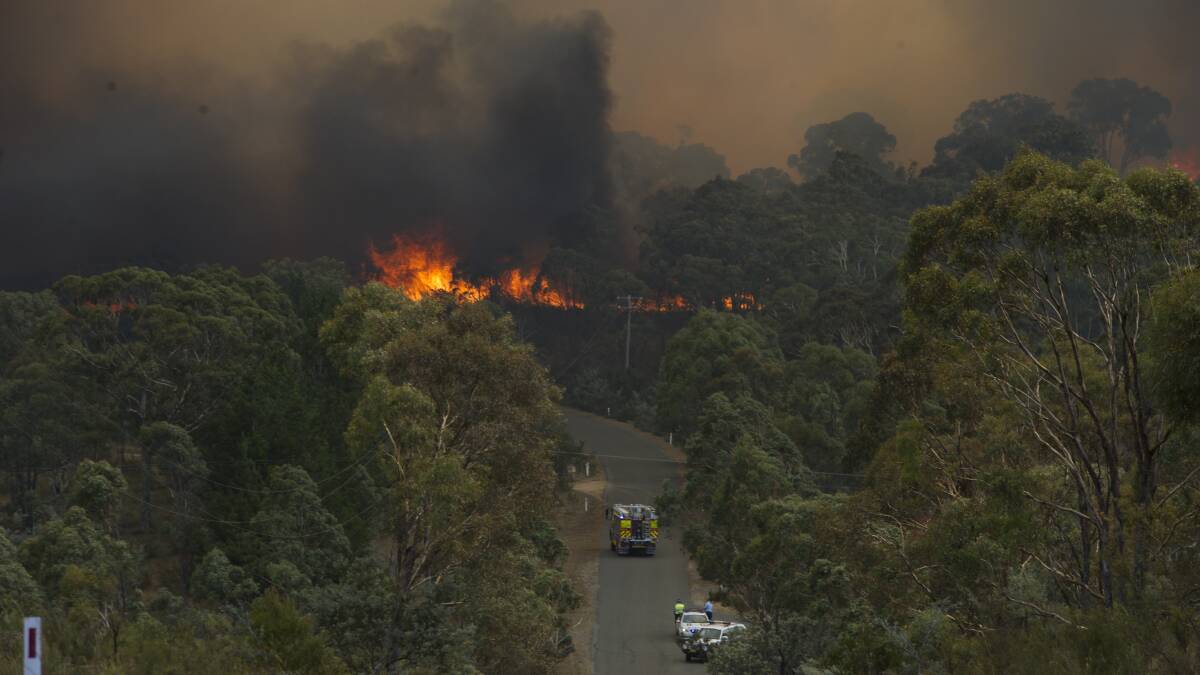 DEVASTATING: As at 8pm on Friday the fire had burnt about 2531 hectares. Photo: Jay Cronan