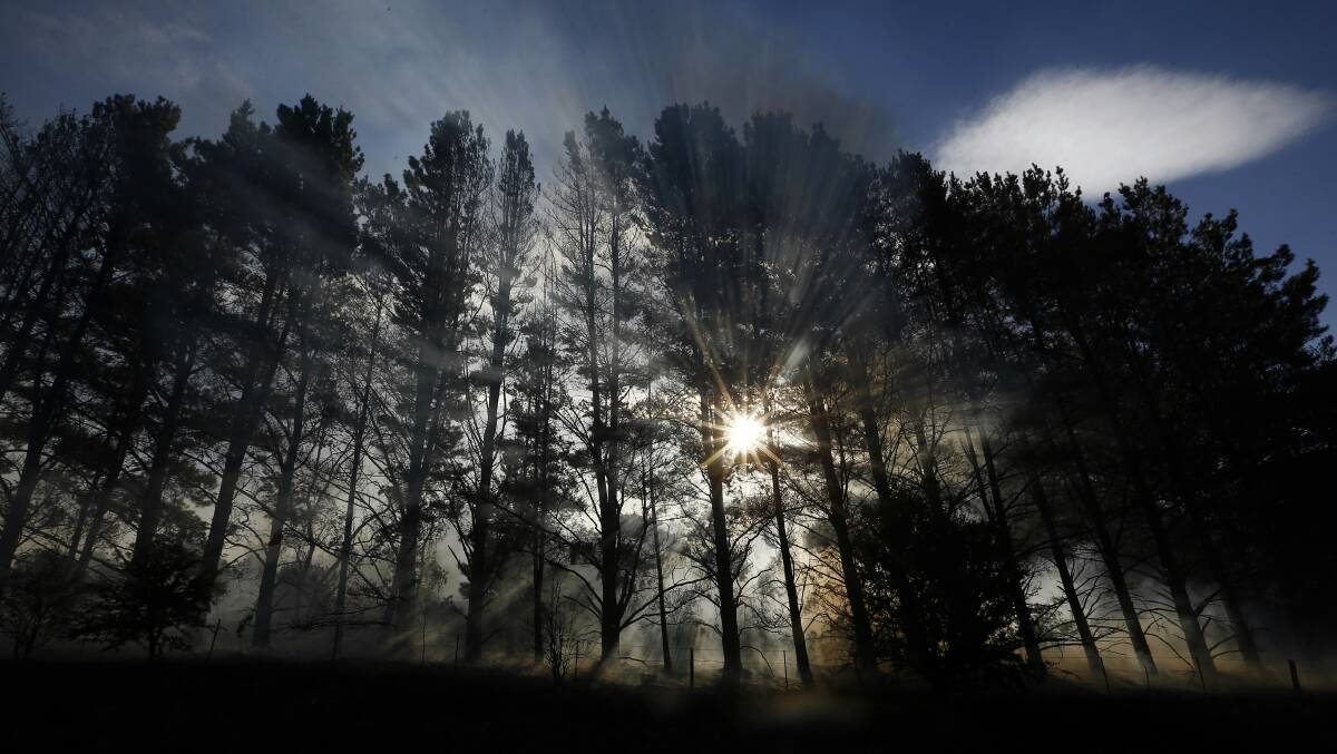 DEVASTATING: The bushfire destroyed about 3500 hectares. Photo: Alex Ellinghausen