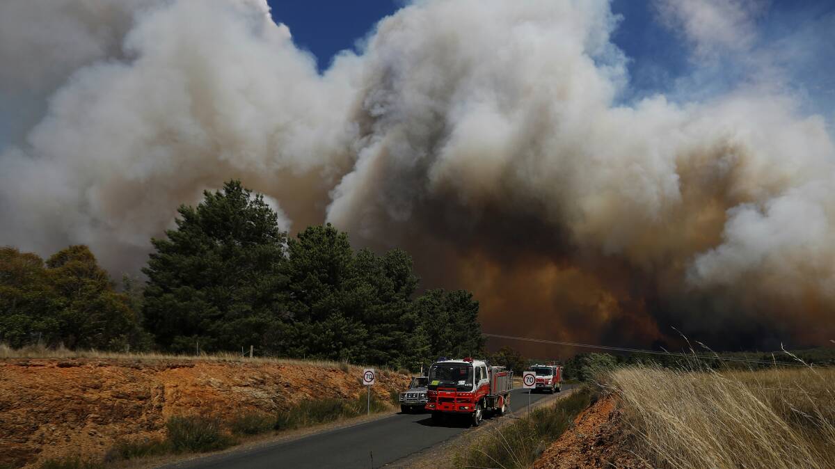 The Carwoola bushfire burned 3500 hectares and destroyed eight homes in February. Photo: Alex Ellinghausen