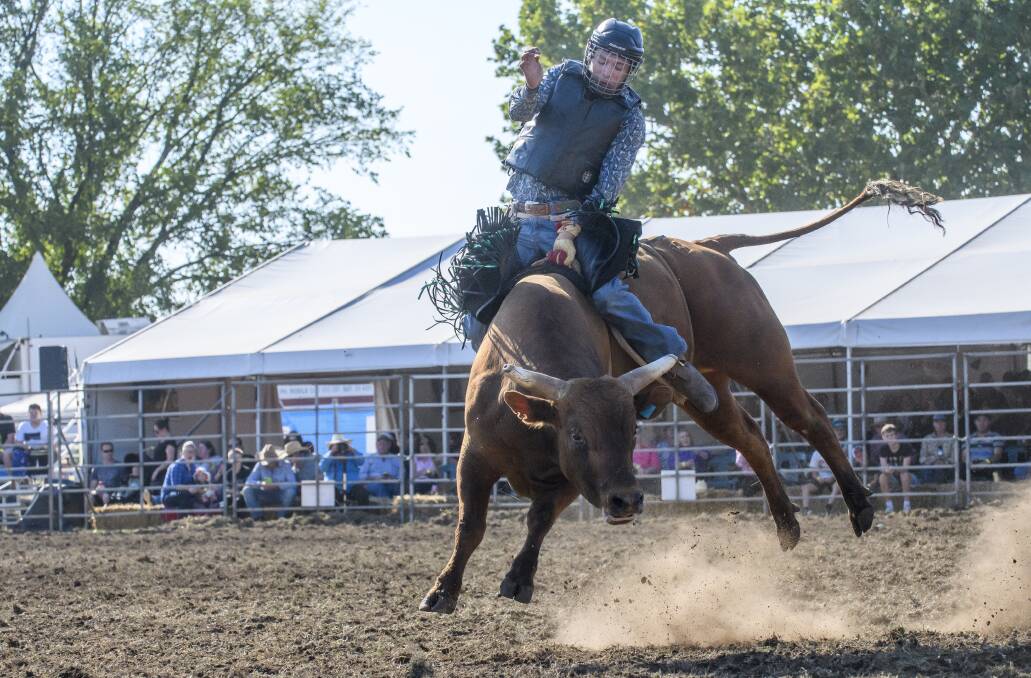 All the action from the rodeo at Queanbeyan Showground on March 10.
Photos: Sitthixay Ditthavong
