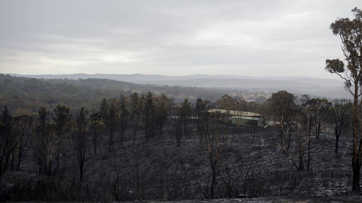 DEVASTATION: The Carwoola fires in February were traumatic for the region. Photo: Jay Cronan