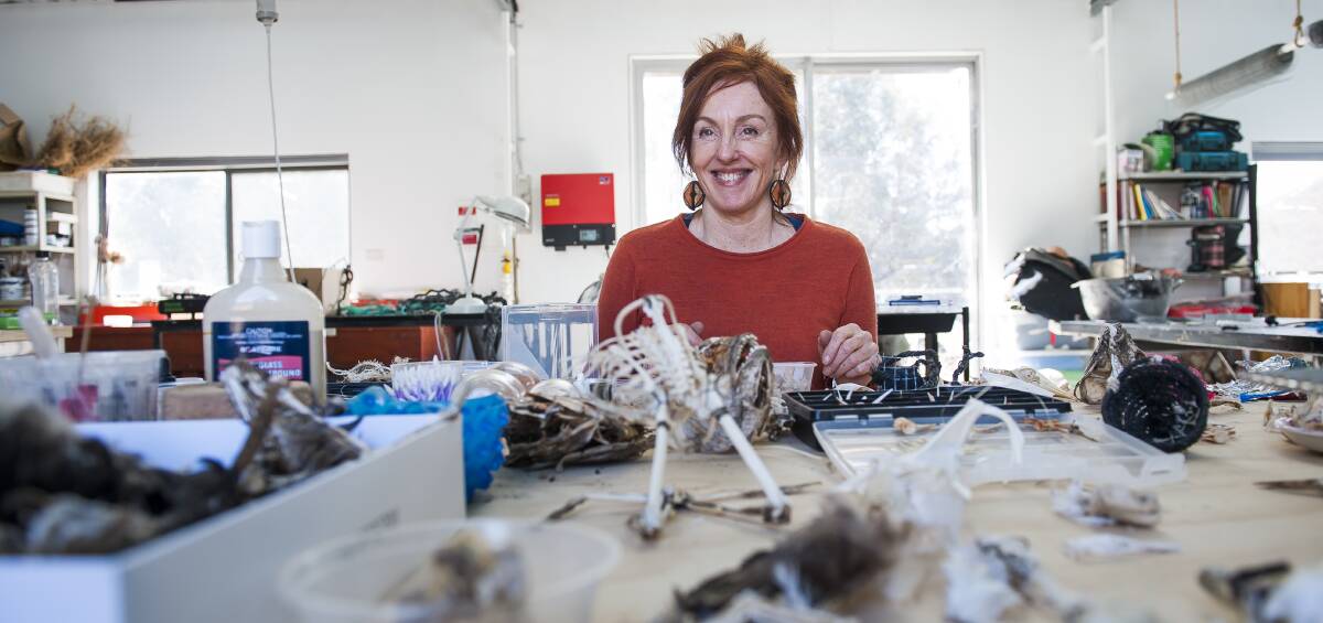 ARTISTIC: Sally Simpson collects animal bones to create her work. She's joined the Queanbeyan Arts Trail to give people a greater understanding of her work. Photo: Elesa Kurtz