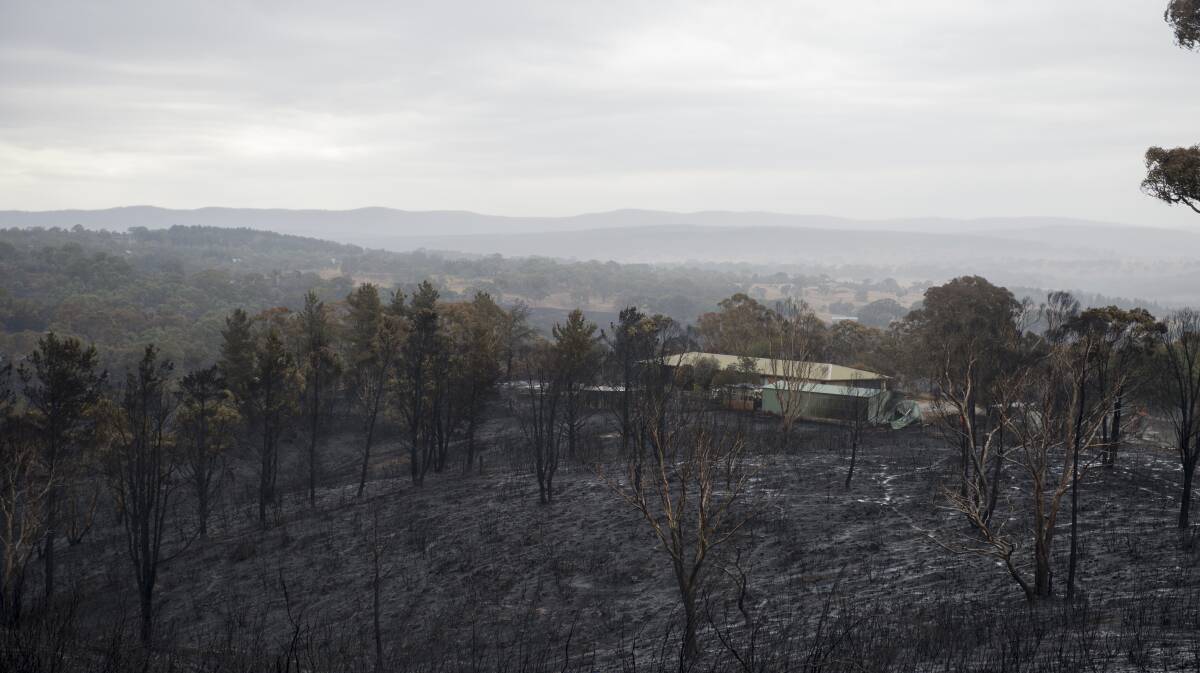 AFTERMATH: The view from Widgiewa Road, Carwoola after the fire burned through homes and hectares of land. Photo: Jay Cronan.