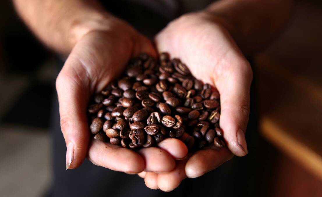 CAFFEINATED: The production of coffee beans is being affected by climate change.If quality declines as a direct result, will people sit up and listen? Photo: Jane Dyson.