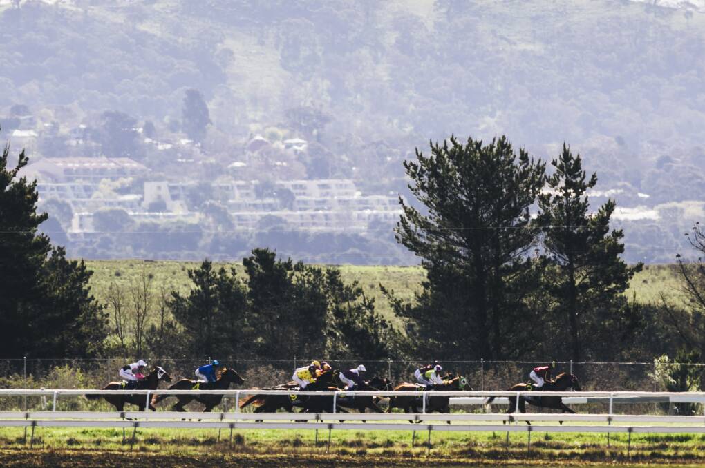 Riders at the Queanbeyan Racecourse. Photo: Rohan Thomson.