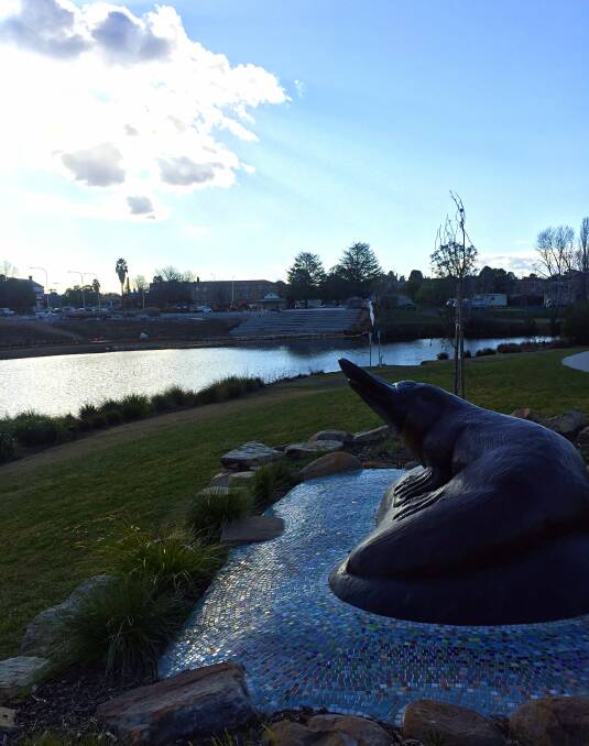 PRIDE OF PLACE: Queany the platypus overlooks the CBD Stage 2 development on the opposite bank of the Queanbeyan River.