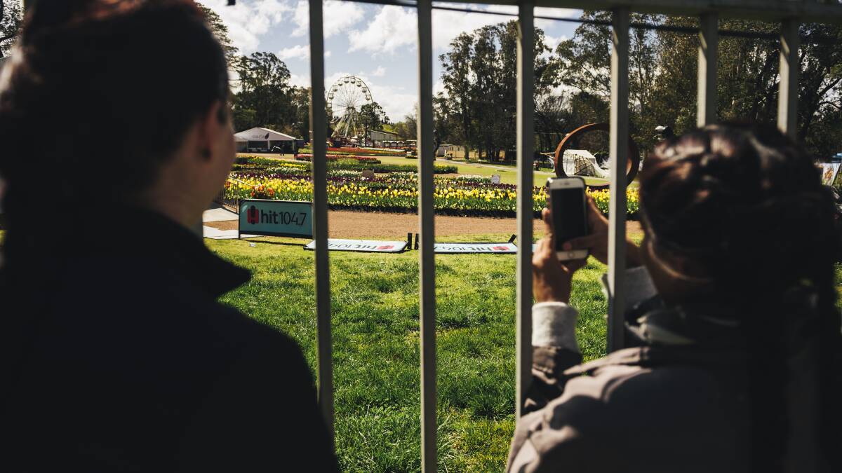 CLOSED: Caitlin Royle and Ash Teeka Reddy photograph the flowers through the fence. They made a day trip from Sydney to visit Floriade, and were dissapointed to find the event closed. Photo: Rohan Thomson.
