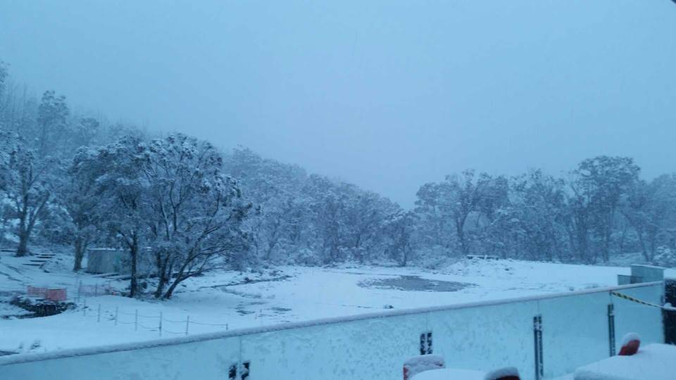 SPRING SNOW: Corin Forest saw snow falls of up to 10 centimetres overnight. Photo: Supplied.
