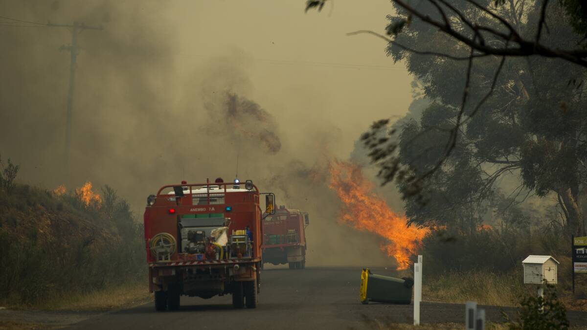 CARWOOLA FIRE: A fast moving bush fire at Widgiewa Rd off Captains Flat Road near Queanbeyan. Photo: Jay Cronan.
