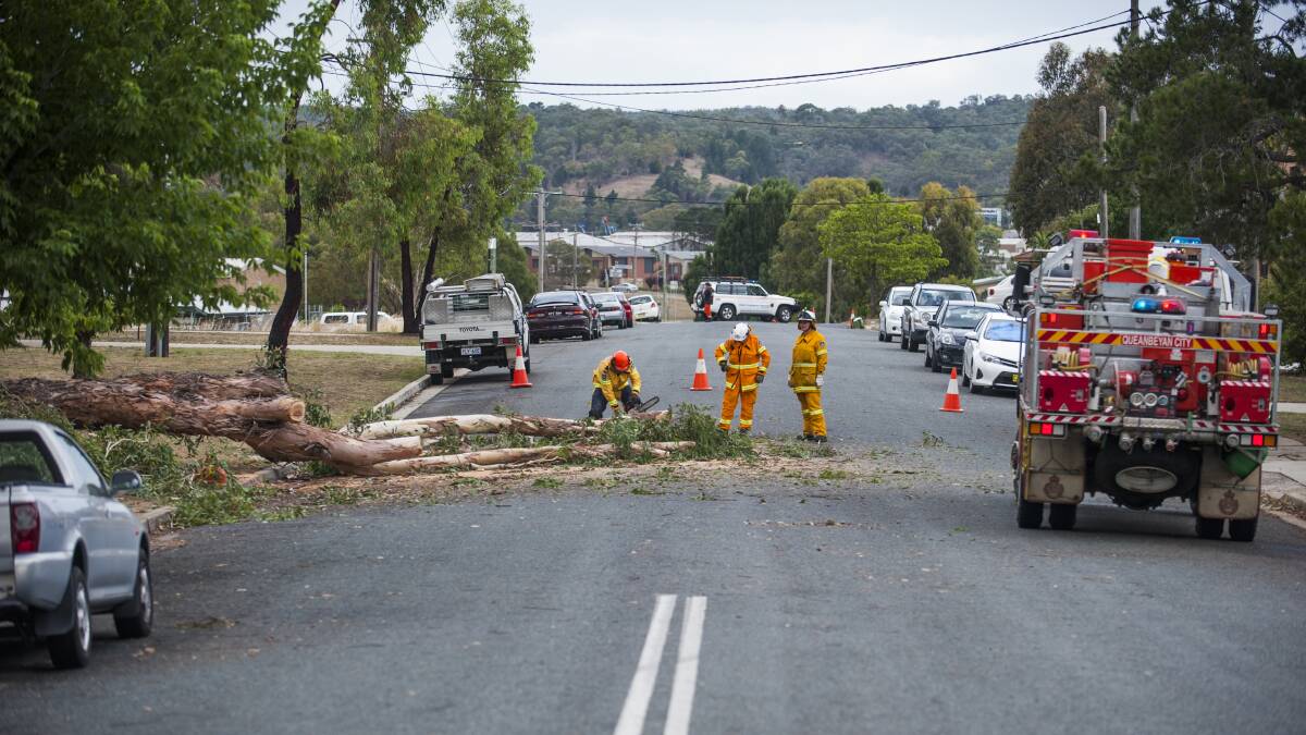 Strong winds knock over trees and pull down branches across Queanbeyan.

One branch fell in front of motorcyclist and caused him to crash.

He was taken to the nearby Queanbeyan Hospital but police say he was lucky to escape any serious injuries.