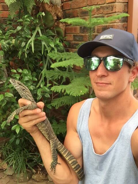 ROSENBERG MONITOR: Chris Lindbeck, caught and saved this Rosenberg's monitor from being hit by a car on Severne Street, Greenleigh Estate on Tuesday. The Ellerton Drive Extension will destroy termite mounds used by the lizard to lay its eggs. Photo: Supplied