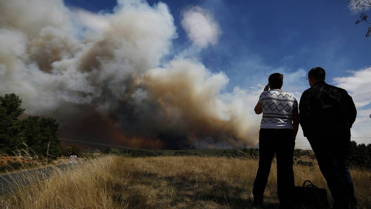 RELIEF FUND: Pip Wyrdeman observes the fire near her dad's home at Carwoola. Photo: Alex Ellinghausen