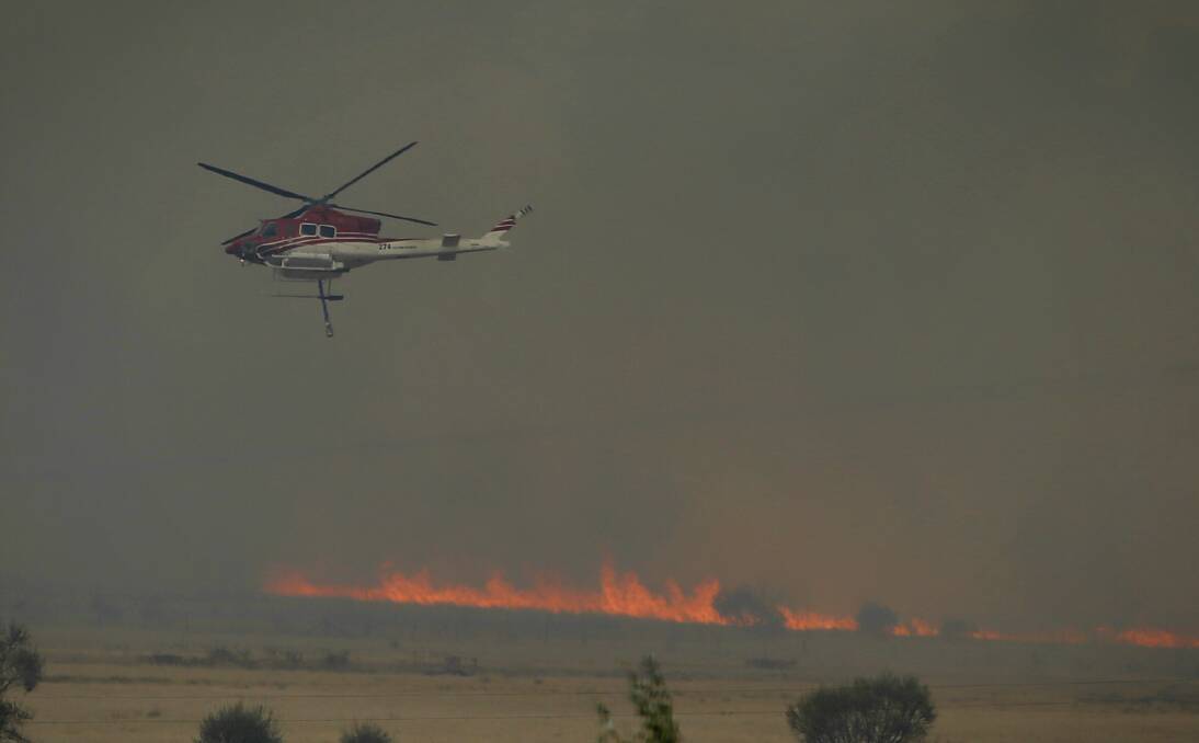 Aerial firefighting efforts during the Carwoola Bushfire. Photo: Alex Ellinghausen