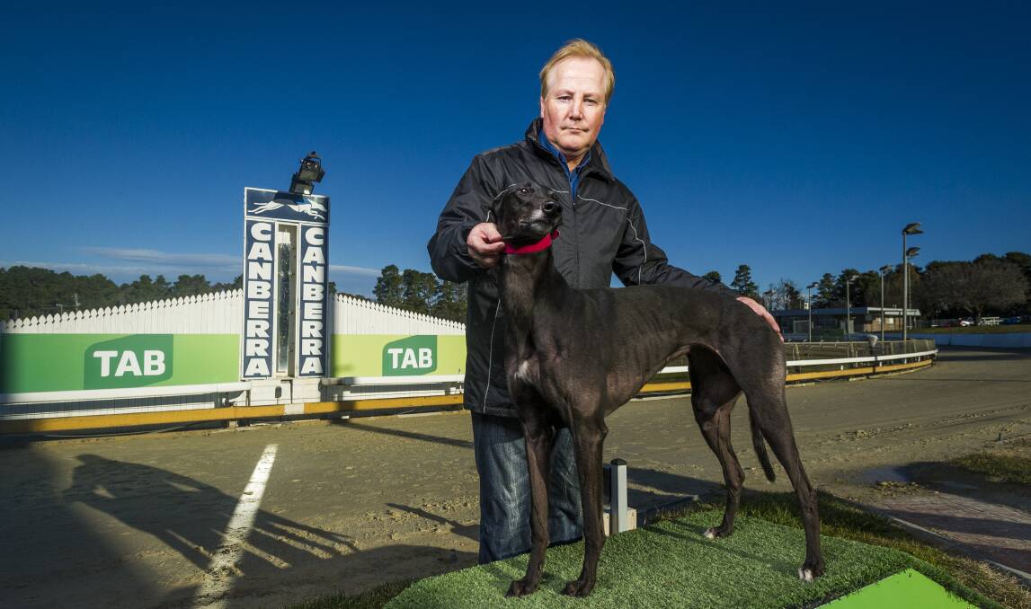 ACT Greyhound Racing Club chairman Alan Tutt has welcomed news local trainers will have a home in Queanbeyan if the ACT ban goes ahead. Photo: Dion Georgopoulos