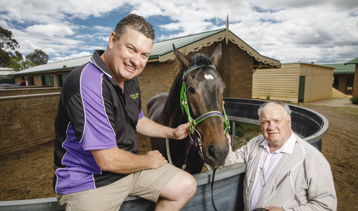 Joe and Frank Cleary will take each other on in the Queanbeyan Cup this Sunday. Photo: Sitthixay Ditthavong