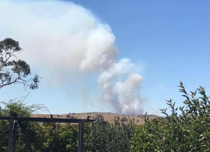 The plume of smoke rising from the fire off Nerriga Road as seen from Elrington Street, Braidwood. Photo: Corie Critchlow