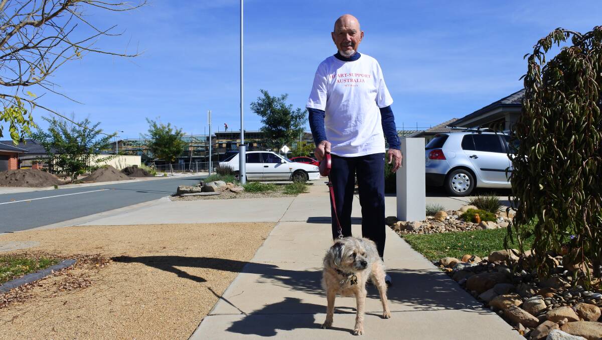 Getting a move on: Peter Morgan with his four-year-old border terrier Billy, who he takes on walks to improve his heart health. Photo: Andrew Brown