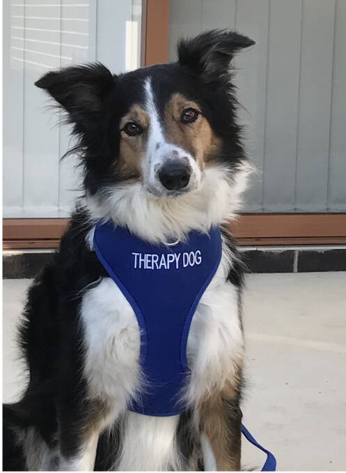 This is Toby: Capital Psychology Clinic would like to thank all of the support they have received from the families, schools and community businesses.