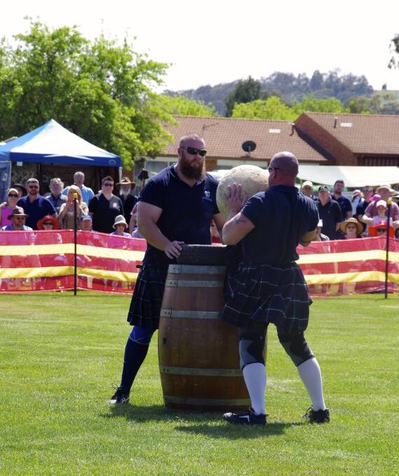 Heavy events: The Tartan Warriors will display the famous caber toss and the stones of manhood, which involves lifting heavy boulders onto whisky barrels.