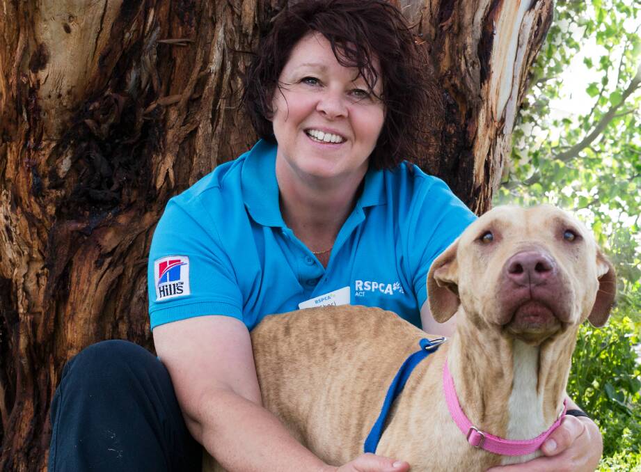 DOG WHISPERER: Shari Gabriel, the RSPCA ACT’s senior behavioural trainer, can't think of a better way to spend her days than playing with dogs. Photo supplied.