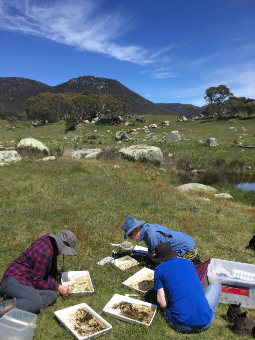 COMMITTED: Volunteers with the Upper Murrimbidgee Waterwatch group prepare samples from the river. Photo: supplied.