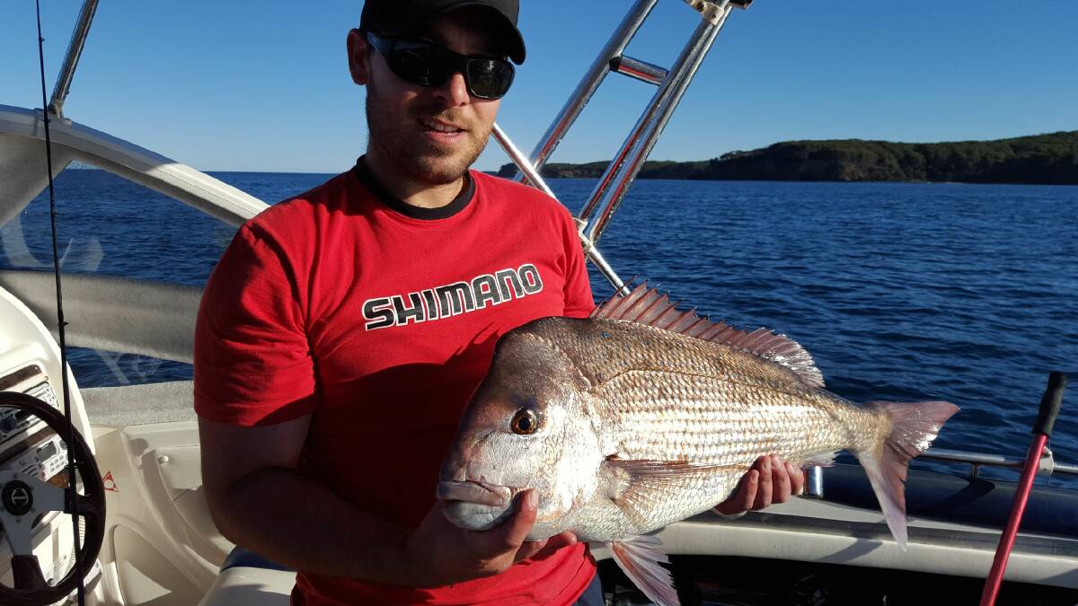Snapper fishing is the place to be now the warmer weather is here.