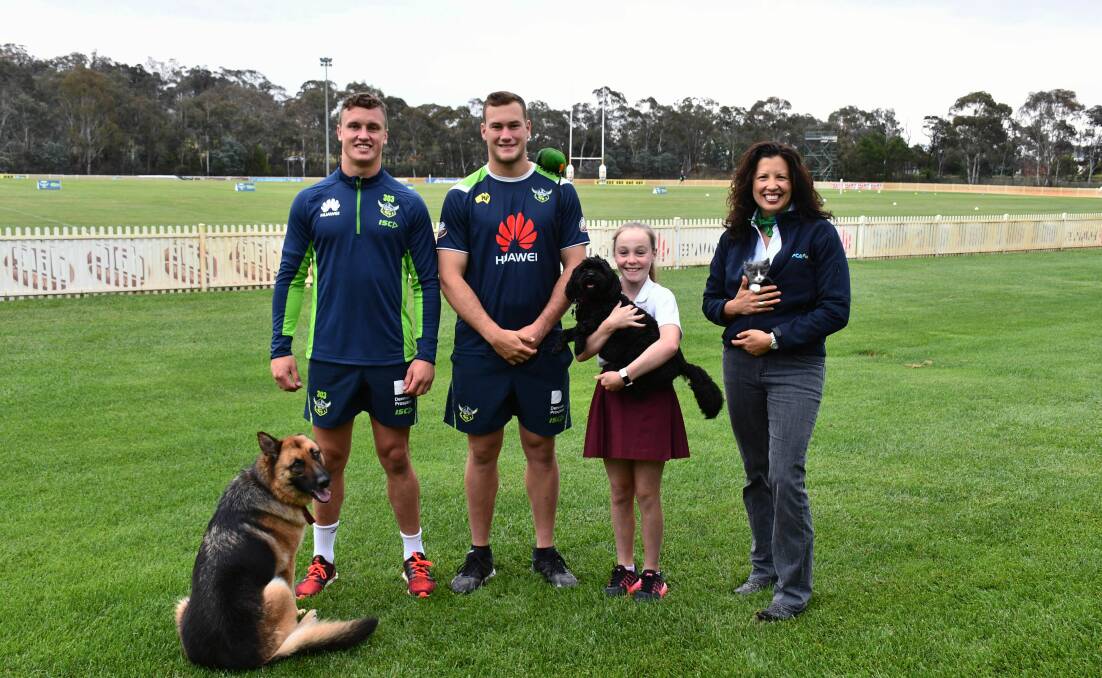 SUPPORTERS: How would yo like you pet to be one of the fans? The Canberra Raiders Pet Program will raise money for RSPCA ACT.