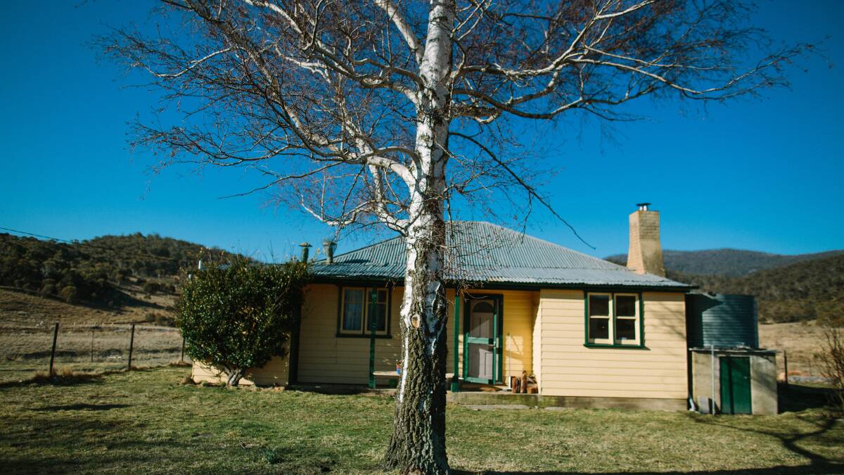 CREATIVE SPACE: Ready Cut Cottage provides a place where artists can retreat to immerse themselves in the natural world.