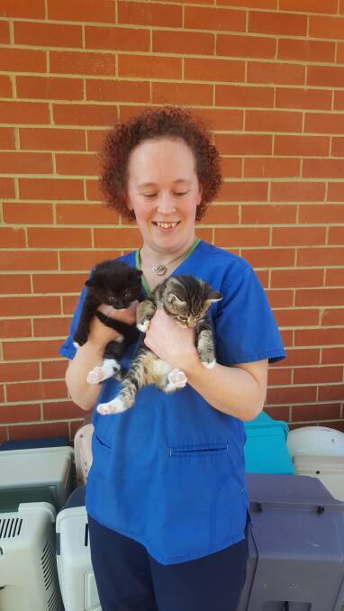 HOLDING IT TOGETHER: Vet nurses such as Karen Sheard are the glue that holds animal shelters and veterinarian surgeries together. Photo: supplied.