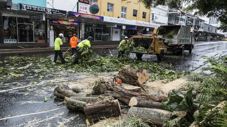 Council workers remove a fallen tree from Abbott Street, Cairns as the remains of Cyclone Ita hits the far north Queensland regional city. Photo: Glenn Hunt
