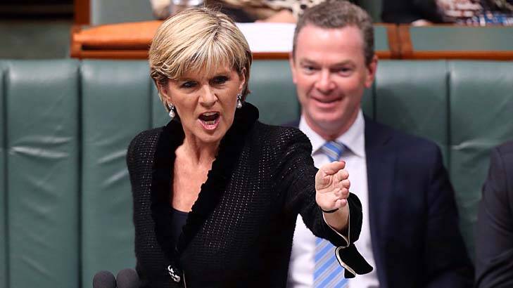 "The US and Australia are working to further our joint aims in space": Julie Bishop. Photo: Andrew Meares