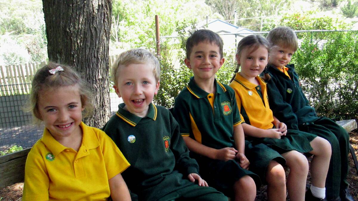 Queanbeyan and the region's fresh-faced new kindergarten classes for 2016.