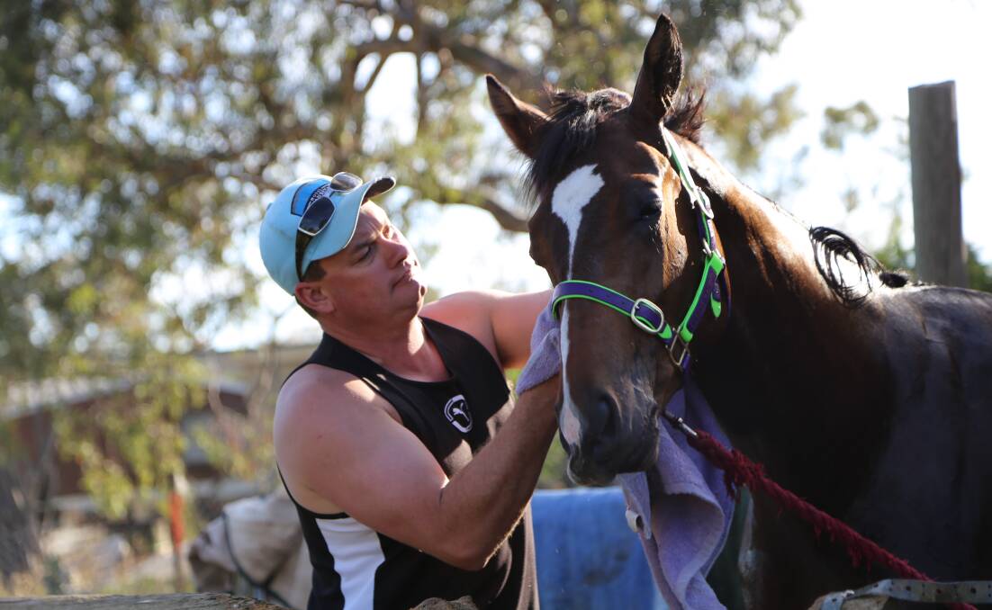 Queanbeyan horse trainer Joe Cleary will have at least five horses owned by retail tycoon Gerry Harvey up and running by September. Photo: Andrew Johnston.