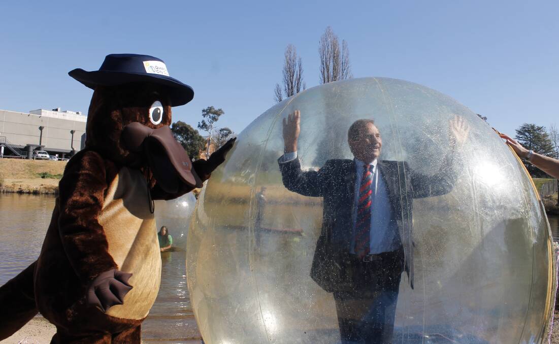 Mayor Tim Overall and the Queanbeyan Council Platypus tested these inflatable spheres allowing people to literally walk on water. It's part of the fun and games to come at the Queanbeyan River Festival. Photo: David Butler.