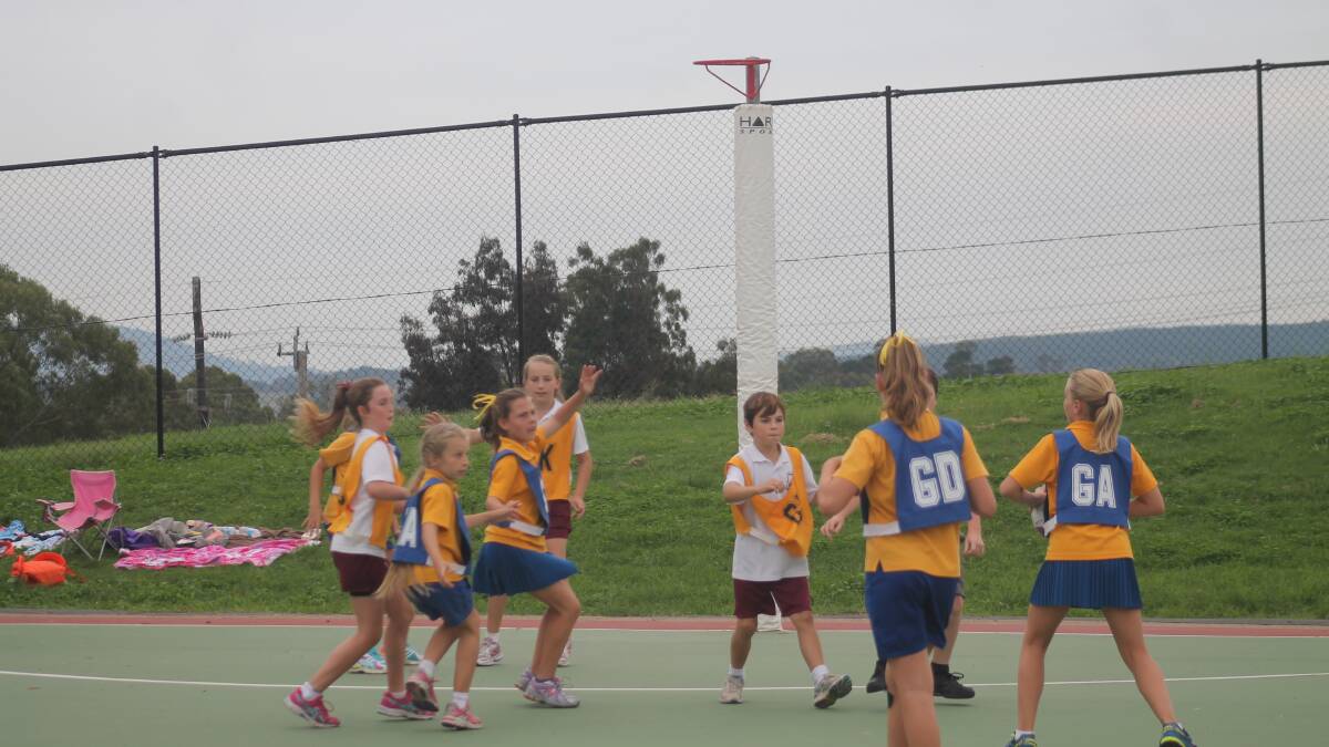 Gallery: Netball NSW Queanbeyan schools tournament