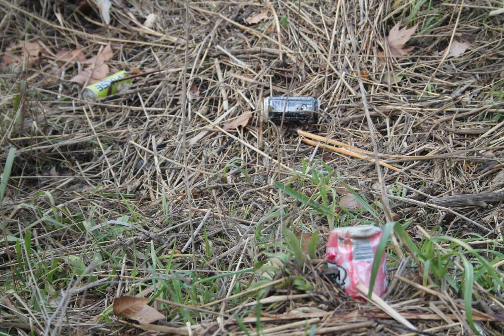 Cans embedded along the riverbank. Photo: Gemma Varcoe. 