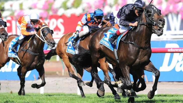 Drawcards: Fiorente and Damien Oliver win the Australian Cup on Saturday. Photo: Vince Caligiuri