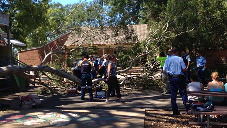 Three people have been injured after the tree fell. Photo: CareFlight