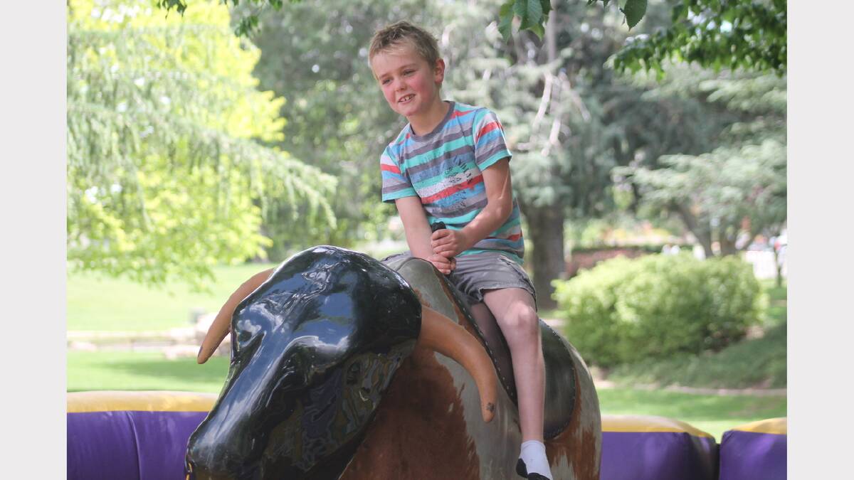 Koby Gibbs masters the bull ride. Photos: Andrew Johnston, Queanbeyan Age