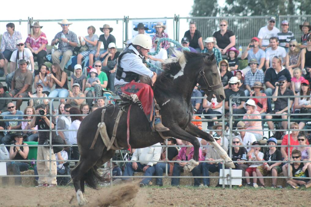 Daryl Baines in action during last year's Queanbeyan Rodeo. Photo: Andrew Johnston