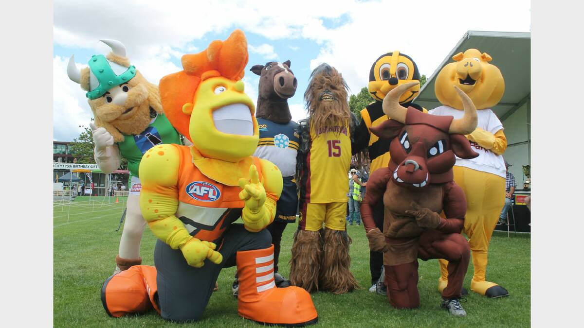 Victor the Viking, Greater Western Sydney's G-Man, Brumby Jack, the Queanbeyan Yowie, the Arrive Alive Bee, Angry Cow and the Bendigo Bank Pig get ready for the Gift's inaugural Mascots Race. Photos: Andrew Johnston, Queanbeyan Age