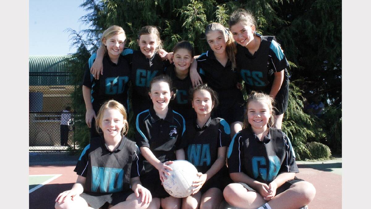 Coverage of the Queanbeyan Netball March Past was one of the Age's most read stories of 2013. Photos: Andrew Johnston