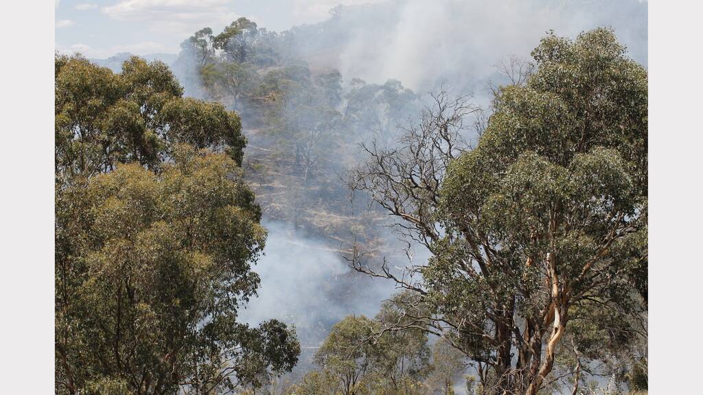 Firefighters are protecting homes from a bushfire burning in Jerrabomberra (PHOTOS: David Butler, Queanbeyan Age).