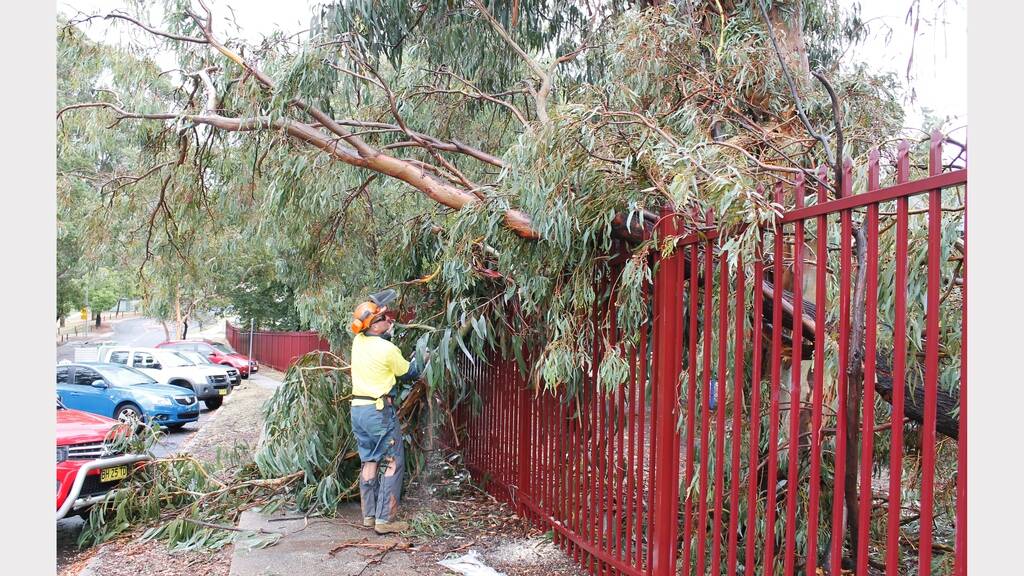 An SES volunteer removes the fallen tree branch that struck a woman and her baby outside Queanbeyan Public School this afternoon.