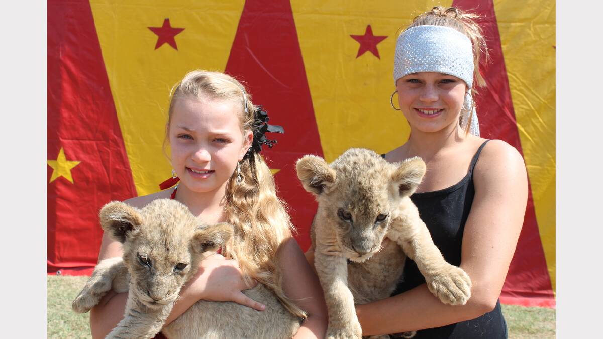Stardust Circus performers Shania and Memphis West with new lion cubs Zaire and Zimbi. 					