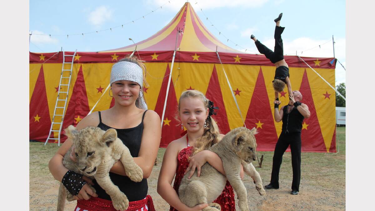Stardust Circus performers Shania and Memphis West with new lion cubs Zaire and Zimbi, while young Cassius West hands in the balance, supported by his uncle Gene West. Photo: Kim Pham