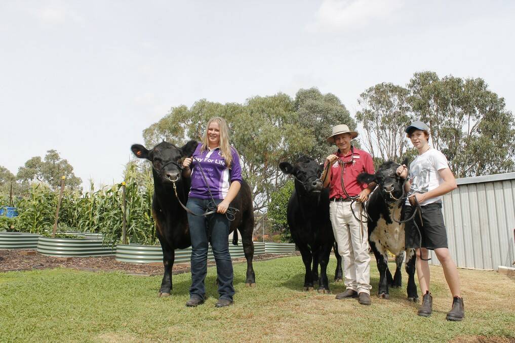 Queanbeyan High School Year 11 agriculture students Ellen Birtles and Hayden Hales and teacher Ian Crabb with the three steers the school is entering at this week's Canberra Show.