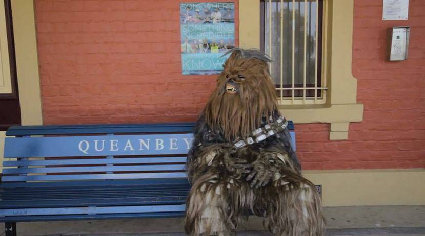 Wookiee spotted at Queanbeyan Train Station. Photo: @dylan_bigdaddy/Twitter.