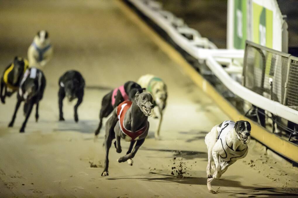The region's Greyhound Racing Club has been in limbo since the sport was banned by the ACT Legislative Assembly.
